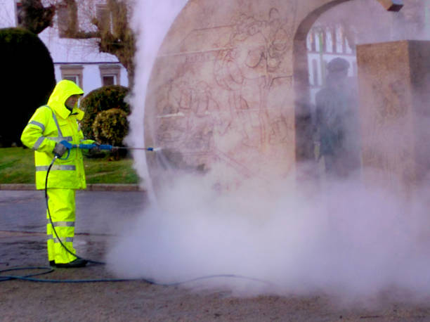 Best Pressure Washing Company Near Me  in Granite City, IL